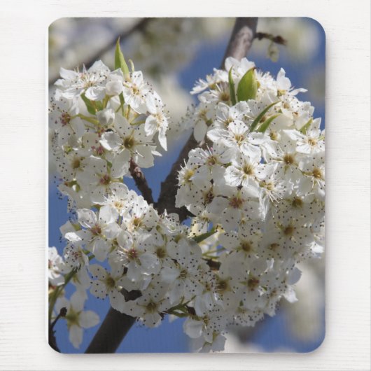 純度 マウスパッド (正面)