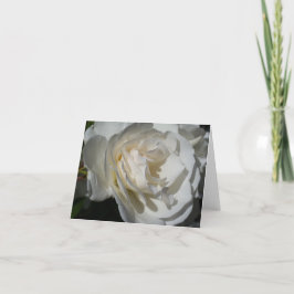 純潔で無邪気な繊細な白い息 サンキューカード