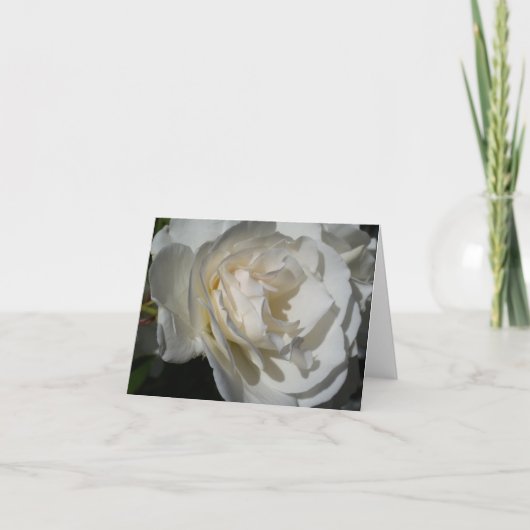 純潔で無邪気な繊細な白い息 サンキューカード (正面)