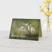 純白の春 カード (黄色い花)