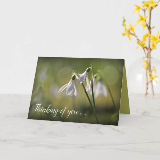 純白の春 カード (黄色い花)