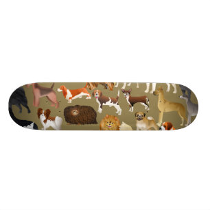 純種犬の壁紙 スケートボード