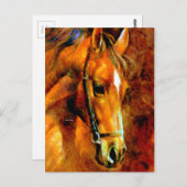 純種 ポストカード (正面/裏面)