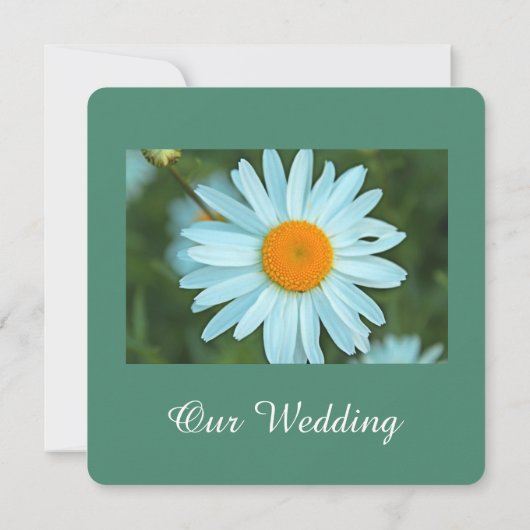 純粋で美しい白いデイジーの花のティール（緑がかった色）結婚の 招待状 (裏面)