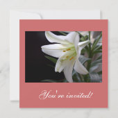 純粋なかわいらし白いユリの花クリスマスパーティー 招待状 (裏面)