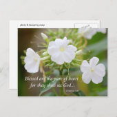 純粋なハート ポストカード (正面/裏面)