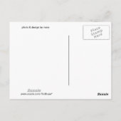 純粋なハート ポストカード (裏面)