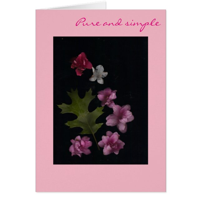 純粋なピンク (正面)