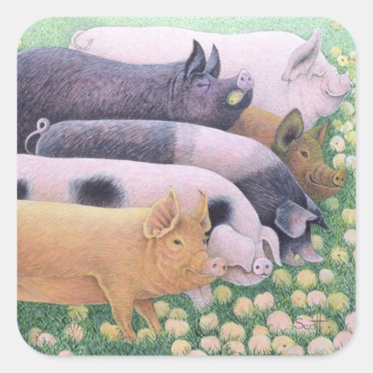 純粋な喜び スクエアシール (正面)