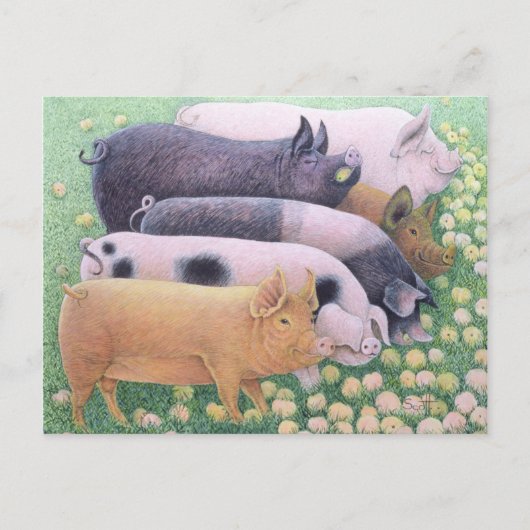 純粋な喜び ポストカード (正面)