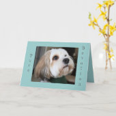 純粋な献身カード カード (黄色い花)