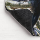 純粋な生活 ホワイトヘッドのカプチンサル マウスパッド (コーナー)