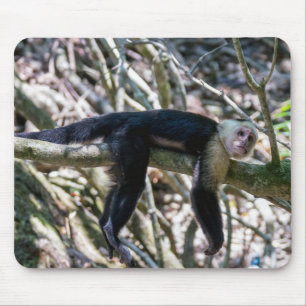 純粋な生活 ホワイトヘッドのカプチンサル マウスパッド