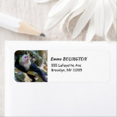 純粋な生活 ホワイトヘッドのカプチンサル ラベル (インサイチュ)