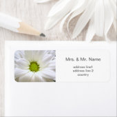 純粋な白デイジー結婚の花 ラベル (インサイチュ)