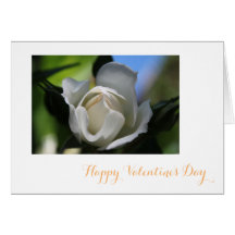 純粋な白バラの花happyバレンタイン