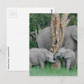 純粋な至福 ポストカード (正面/裏面)