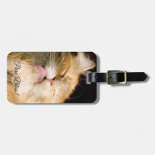 純粋な至福 |メインクーンクローズアップ写真テンプレート ラゲッジタグ (正面横)