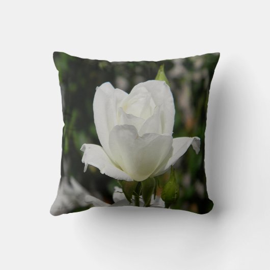 純粋な….. クッション (裏面)