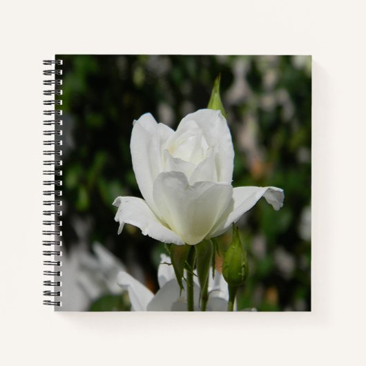 純粋な… ノートブック (正面)