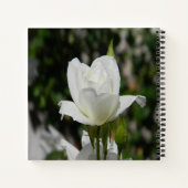 純粋な… ノートブック (裏面)