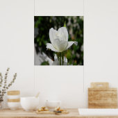 純粋な… ポスター (キッチン)