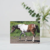 純粋絵を描な ポストカード (スタンド正面)