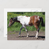 純粋絵を描な ポストカード (正面/裏面)