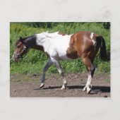 純粋絵を描な ポストカード (正面)