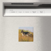 純粋飼育ドイツの羊飼い写真オンマグネット マグネット (インサイチュ (食洗機))