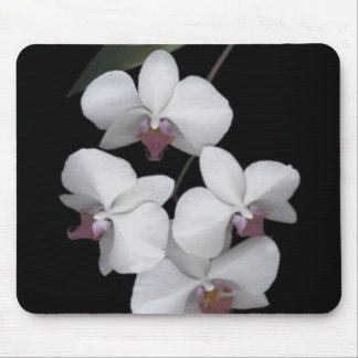 純粋 マウスパッド