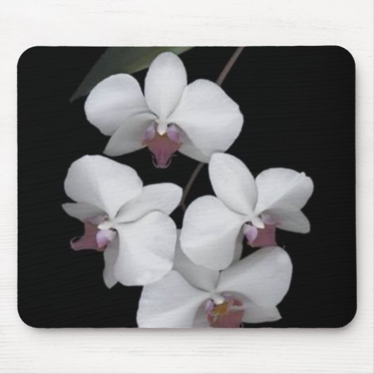 純粋 マウスパッド (正面)