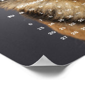 純血のジャーマン・シェパードドッグ 写真 2024 カレンダー ポスター (角)