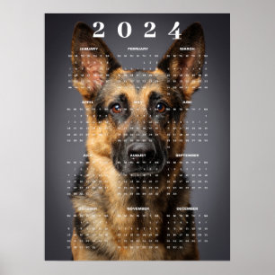 純血のジャーマン・シェパードドッグ 写真 2024 カレンダー ポスター