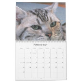 純血猫の品種救助のカレンダー カレンダー (2月 2027)