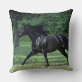 純血種のランニング クッション (裏面)