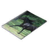 純血種のランニング ノートブック (左側)