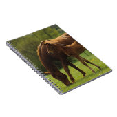 純血種のロバ及び子馬2 ノートブック (右側)