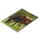 純血種のロバ及び子馬2 ノートブック (左側)