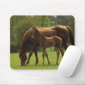 純血種のロバ及び子馬2 マウスパッド (マウス)