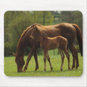純血種のロバ及び子馬2 マウスパッド