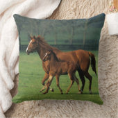 純血種のロバ及び子馬3 クッション (ブランケット)