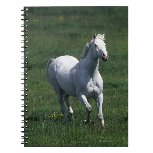 純血種のロバ ノートブック (正面)