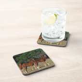 純血種の子馬のグループ コースター (右側)