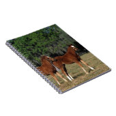 純血種の子馬のグループ ノートブック (右側)