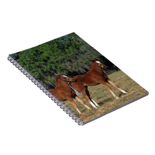 純血種の子馬のグループ ノートブック (右側)