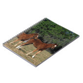 純血種の子馬のグループ ノートブック (左側)