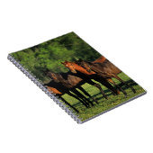 純血種の満一年子 ノートブック (右側)