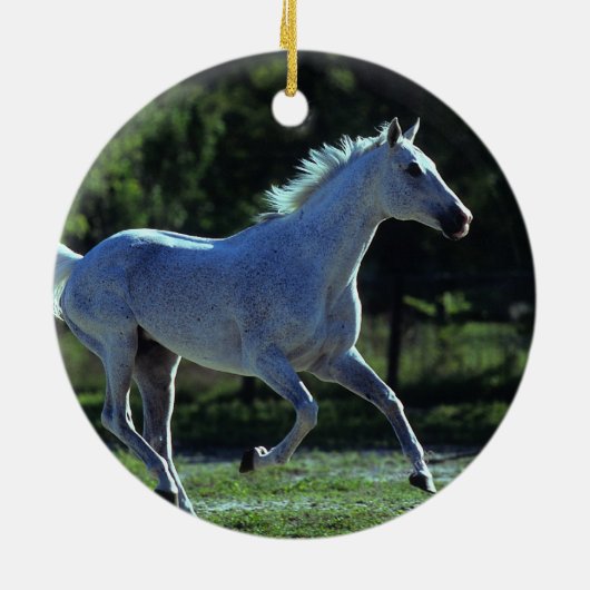純血種の種馬のランニング セラミックオーナメント (裏面)
