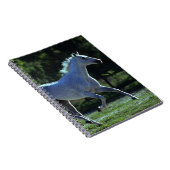 純血種の種馬のランニング ノートブック (右側)